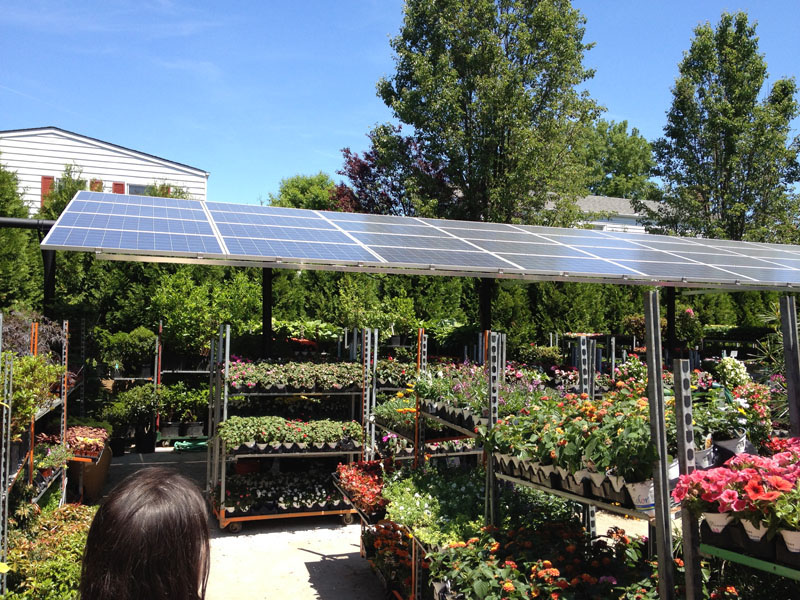 plant racks with solar panels
